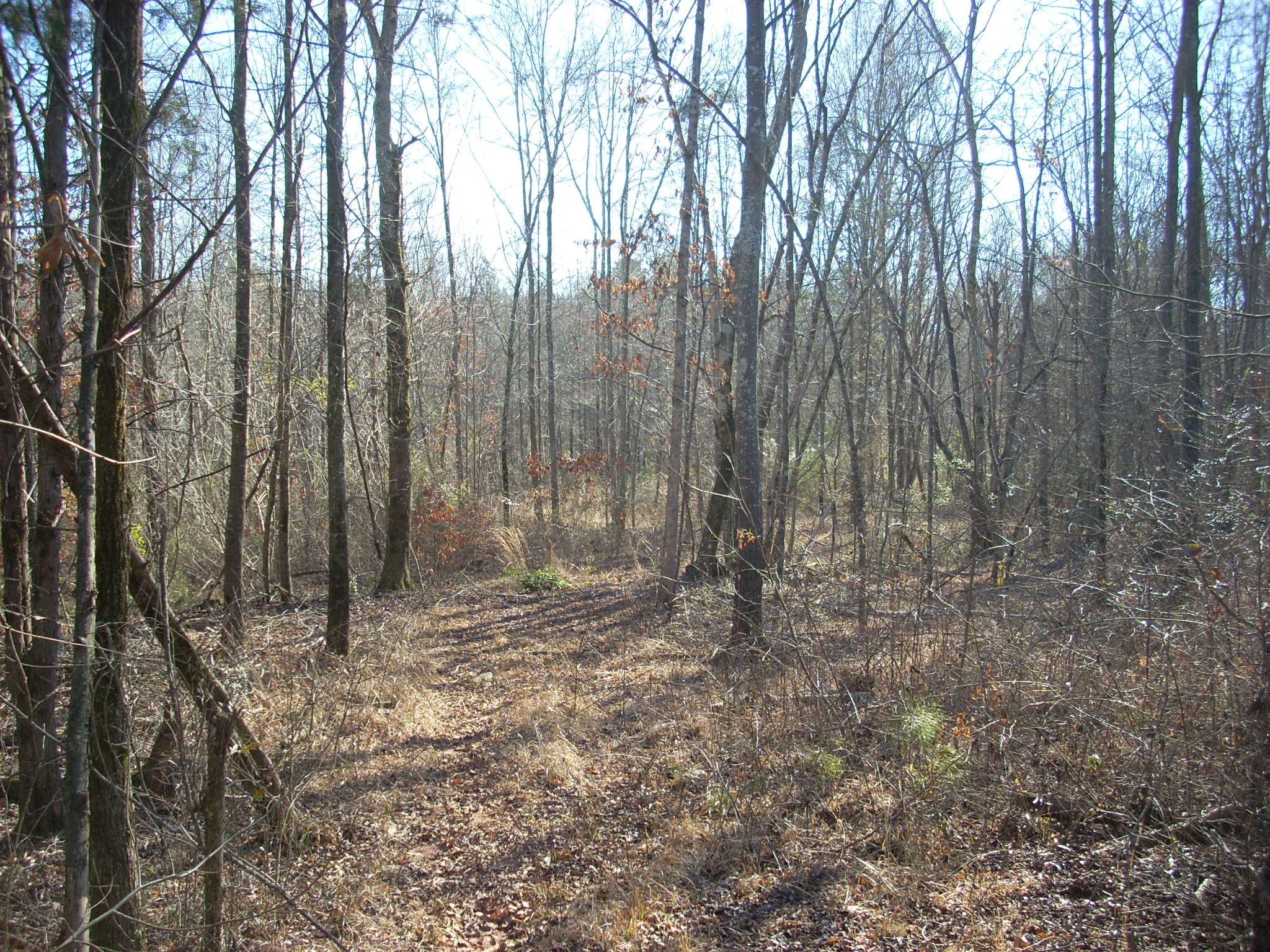 211 Unity Church Road